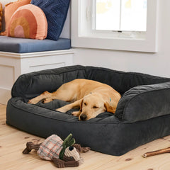 Orvis Memory Foam Deluxe Dog Bed