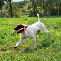 Game-Bird Training Dummy
