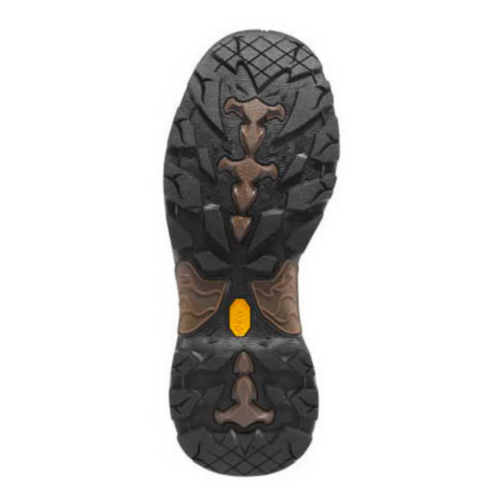 Danner® Pronghorn 8" Boots