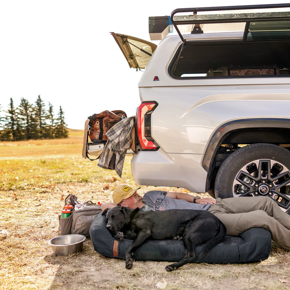 Orvis RecoveryZone® Couch Dog Bed