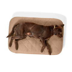 Orvis RecoveryZone® ToughChew® Lounger Dog Bed