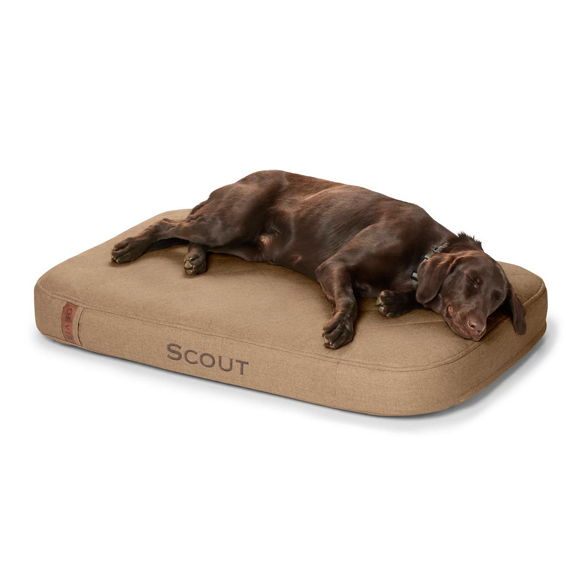 Orvis RecoveryZone® ToughChew® Lounger Dog Bed