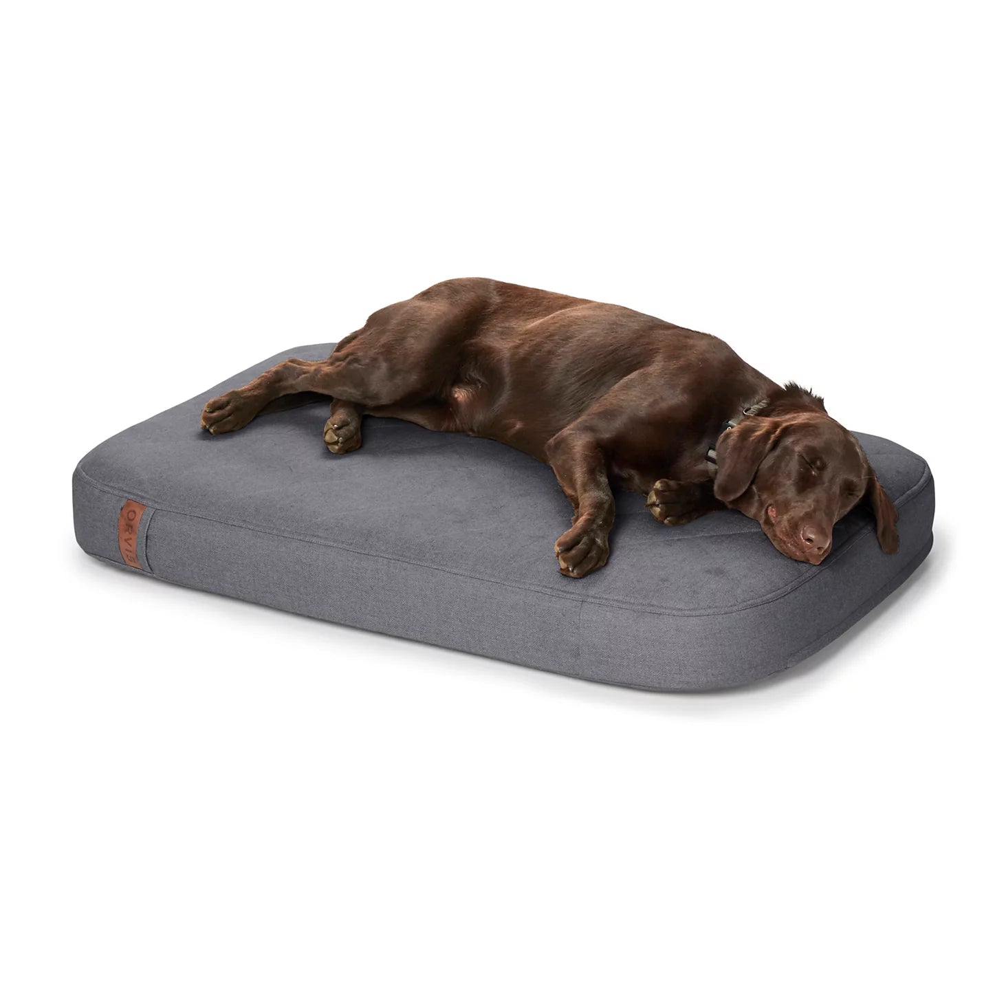 Orvis RecoveryZone® ToughChew® Lounger Dog Bed