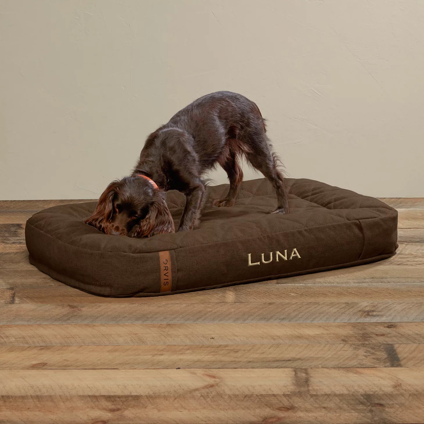 ToughChew® Memory Foam Lounger Dog Bed