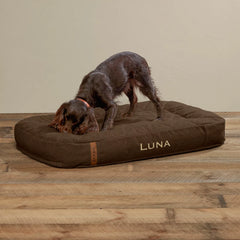 ToughChew® Memory Foam Lounger Dog Bed