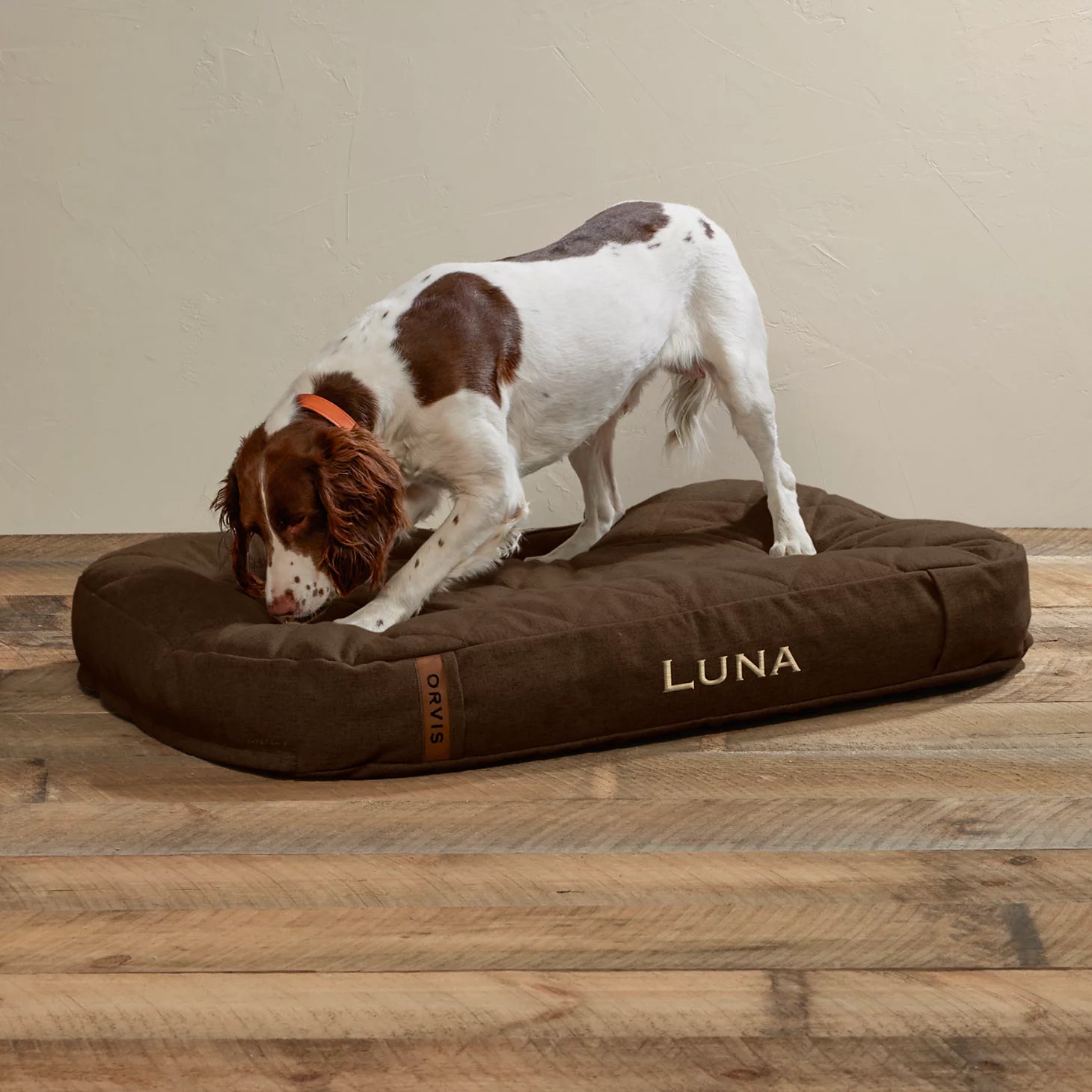 ToughChew® Memory Foam Lounger Dog Bed