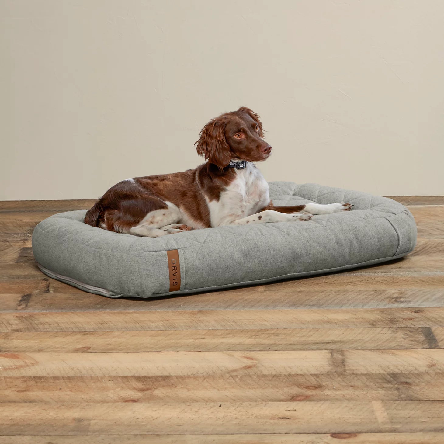 ToughChew® Memory Foam Lounger Dog Bed
