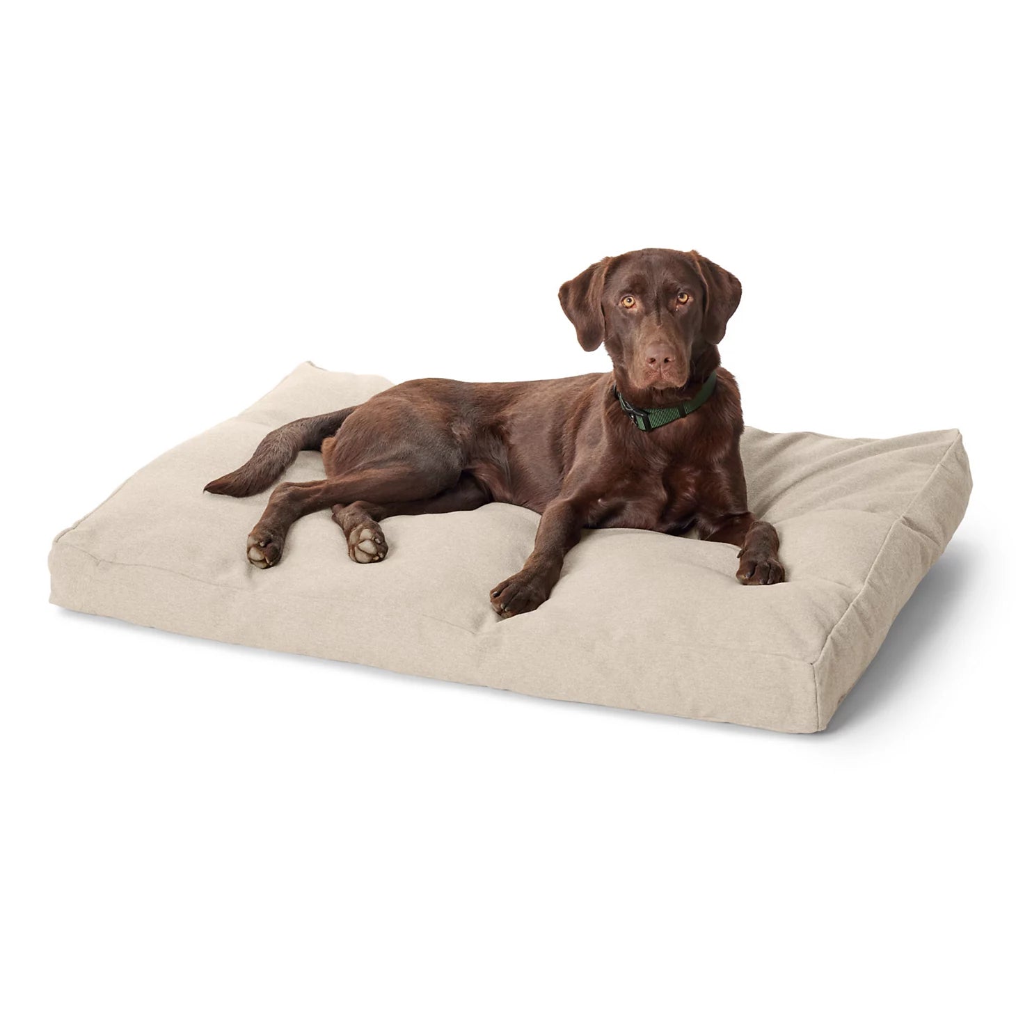 Orvis ComfortFill-Eco® Lounger Dog Bed