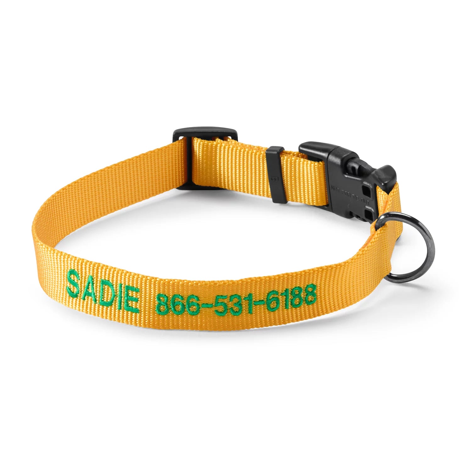 Personalized Side-Release Buckle Collar