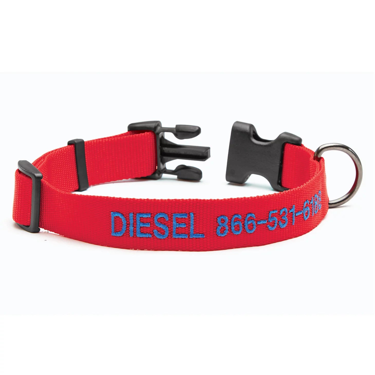 Personalized Side-Release Buckle Collar and Leash