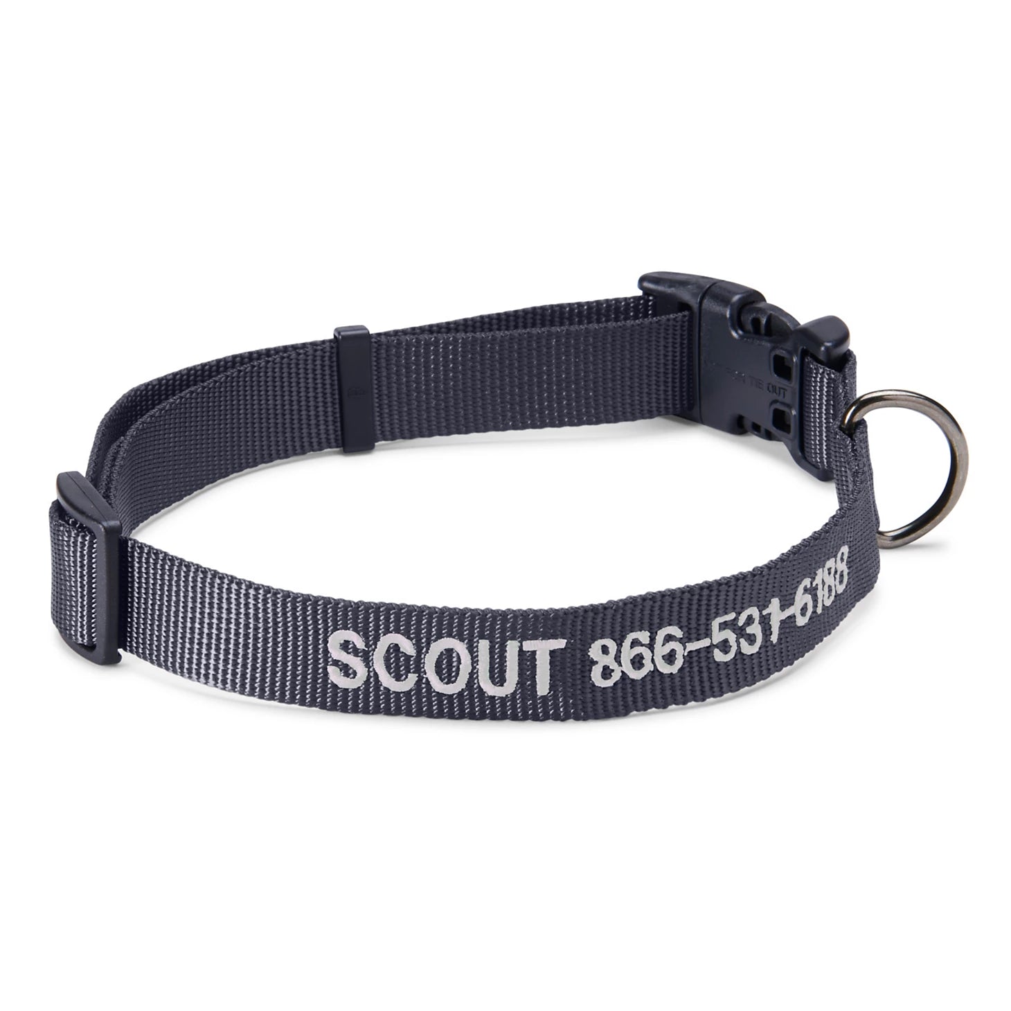 Personalized Side-Release Buckle Collar and Leash