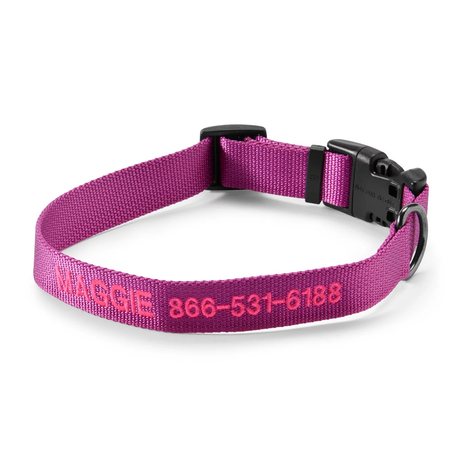 Personalized Side-Release Buckle Collar and Leash
