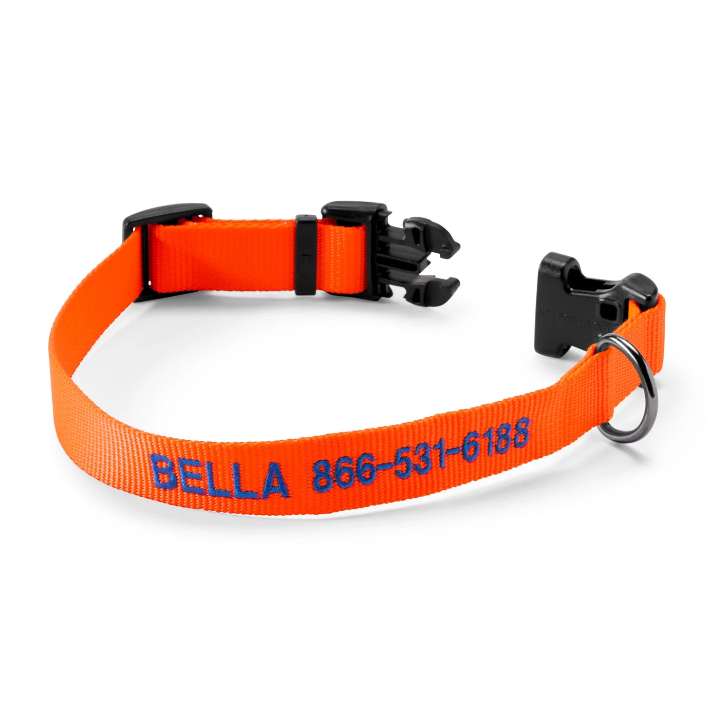 Personalized Side-Release Buckle Collar and Leash