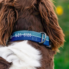 Tough Trail® Collar 2.0