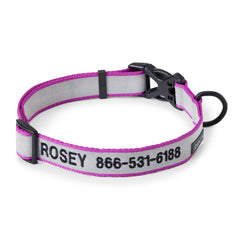 Orvis Personalized Reflective Dog Collar