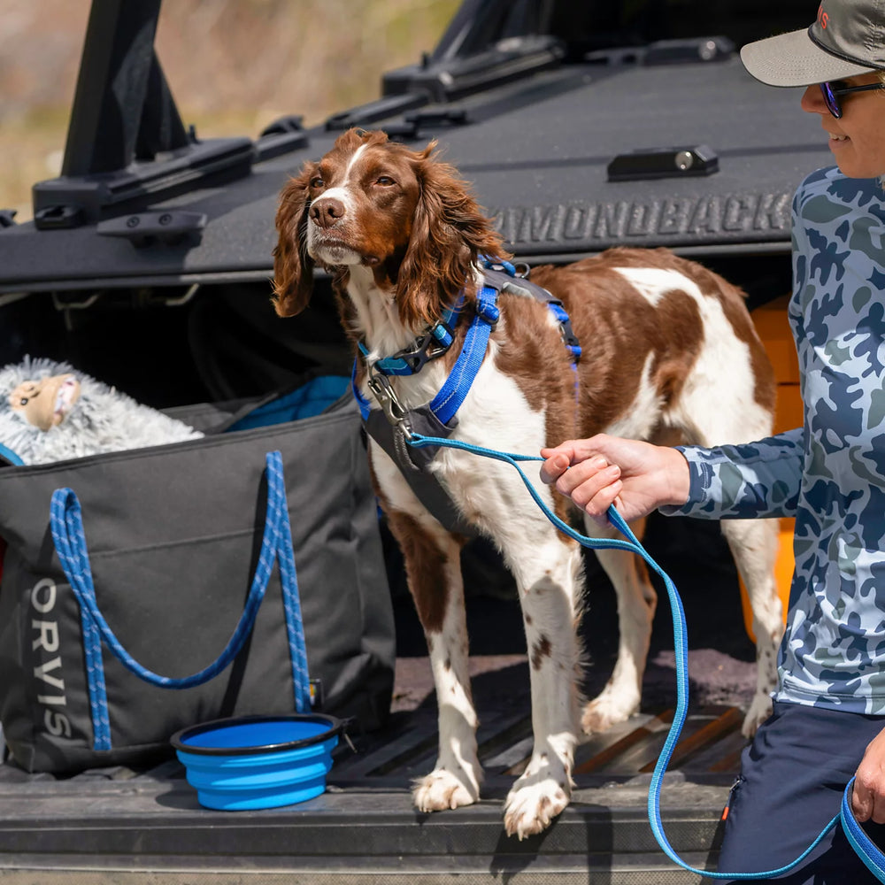 Tough Trail® Four-Point Dog Harness